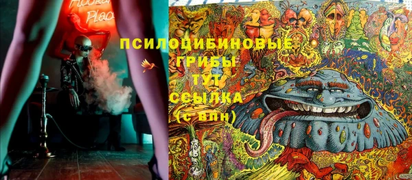 не бодяженный Арсеньев