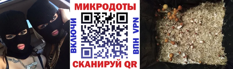 Псилоцибиновые грибы Cubensis  Купить где  Рязань 